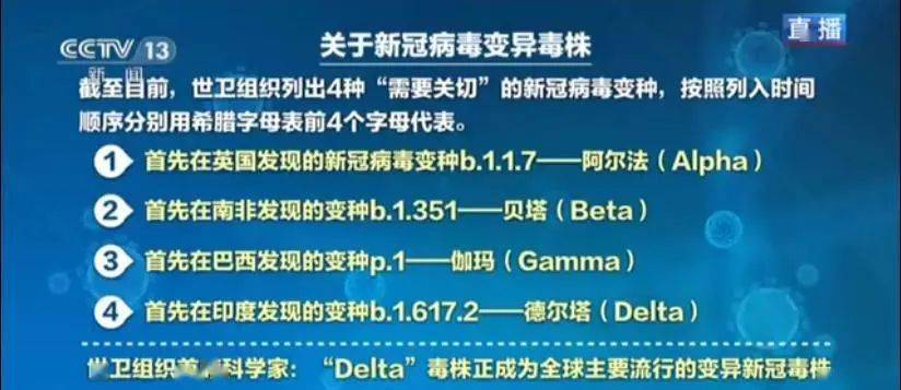 澳门王中王议论,经济性执行方案剖析_潮流版3.739