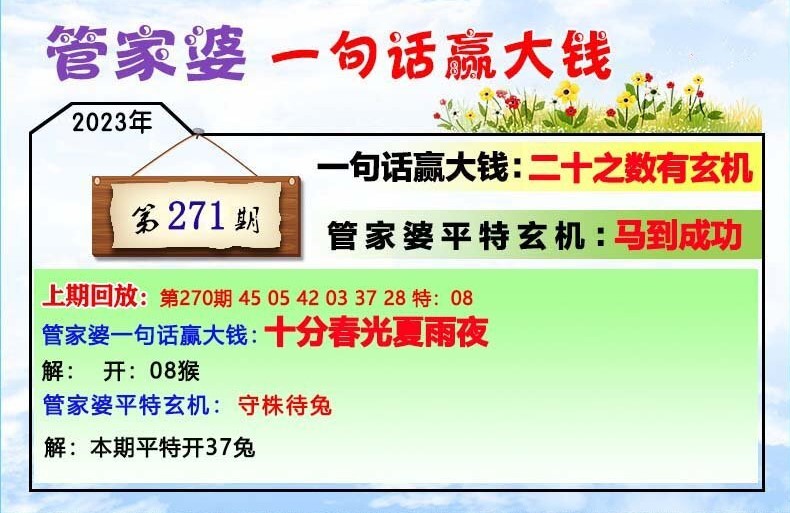 202管家婆一肖一码,全面解答解释落实_HD38.32.12