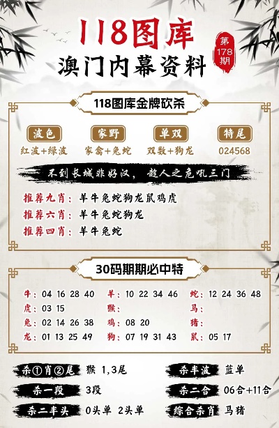 澳门正版精准免费大全,数据驱动计划_R版62.19