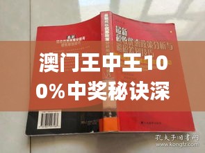 澳门王中王100%期期中一期,实地分析验证数据_专属款12.291