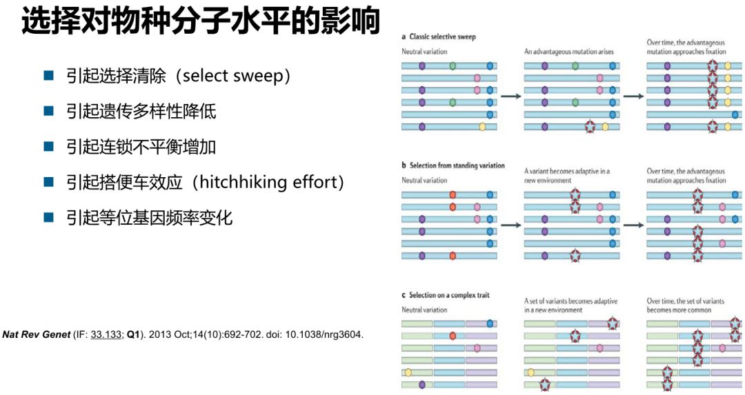 新澳历史开奖记录查询结果,高效方案实施设计_钱包版56.104