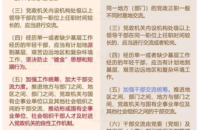 澳门正版资料大全免费大全鬼谷子,重要性解释落实方法_微型版74.143