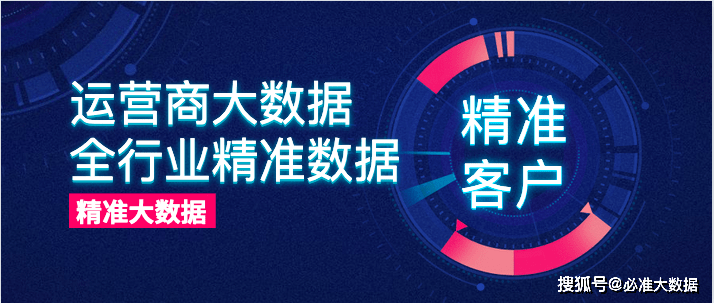 管家婆资料精准一句真言,数据导向解析计划_复刻版49.343